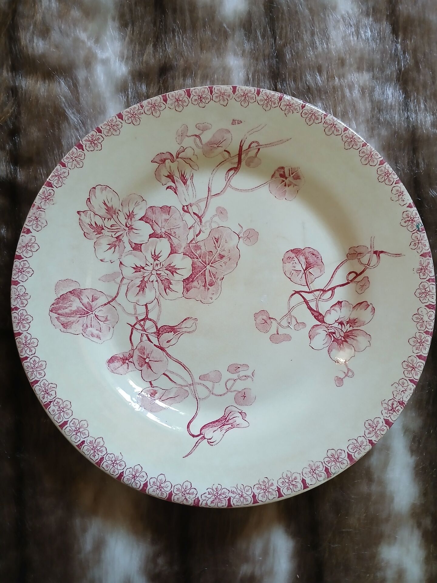 13 mismatched flat plates in ironstone