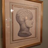 Phrenology head frame