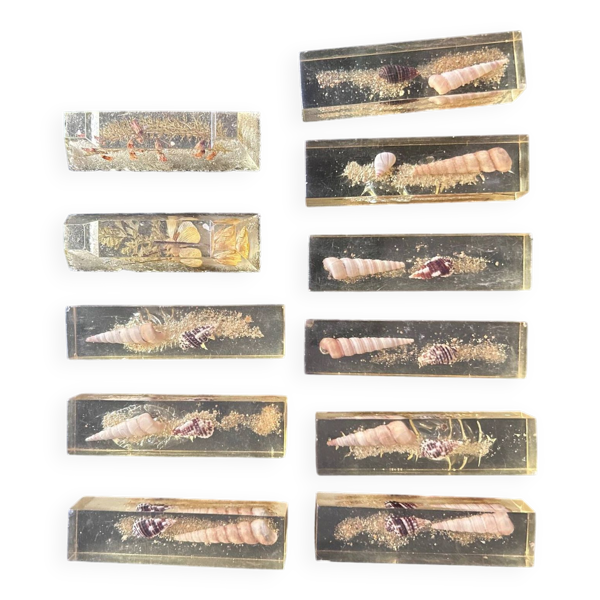 Suite de 9 porte-couteaux en résine et coquillages, années 70