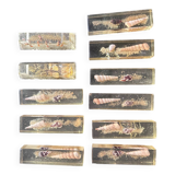 knife holder in resin and shells from the 70s