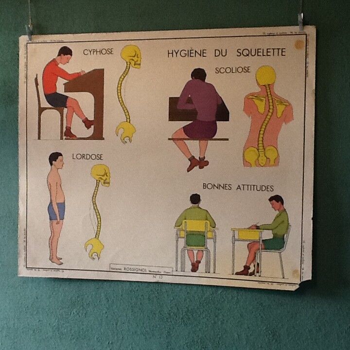 Poster teaching years 60 - muscle / skeletal health