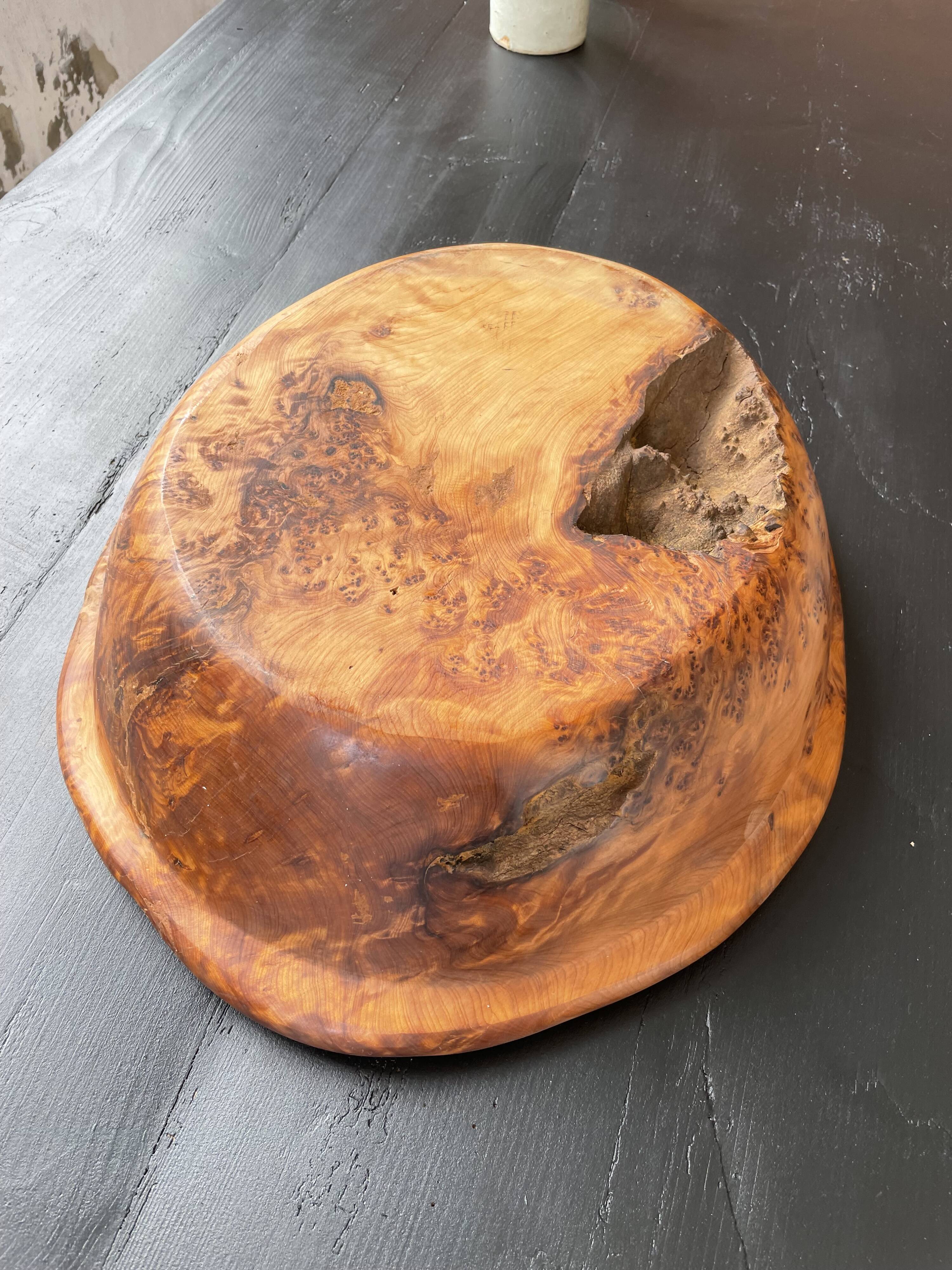 XL thuja root wooden dish