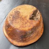 XL thuja root wooden dish