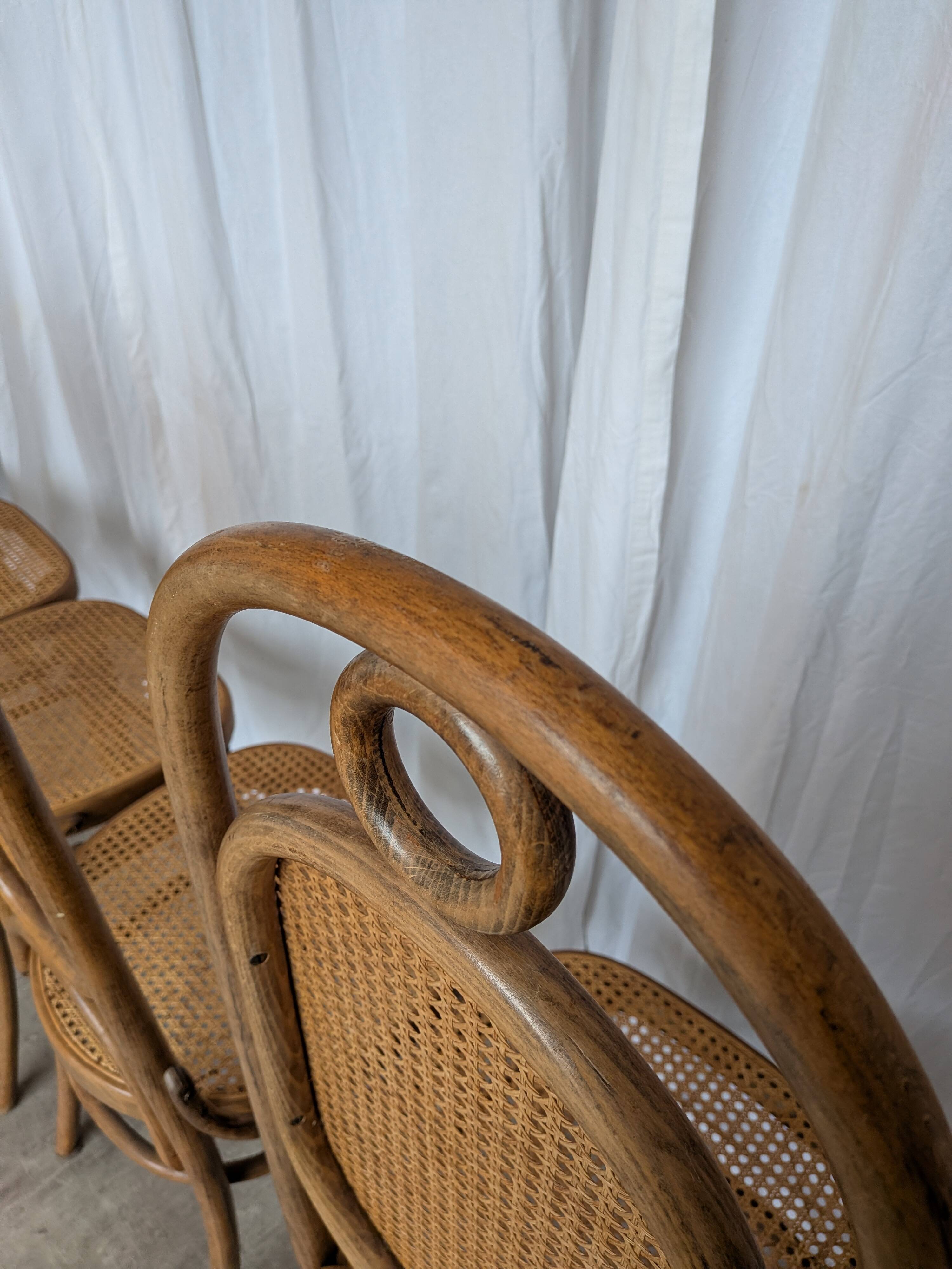 Set of 8 Vintage Bentwood Cane Dining Chair, Thonet Style, 1970s Yugoslavia