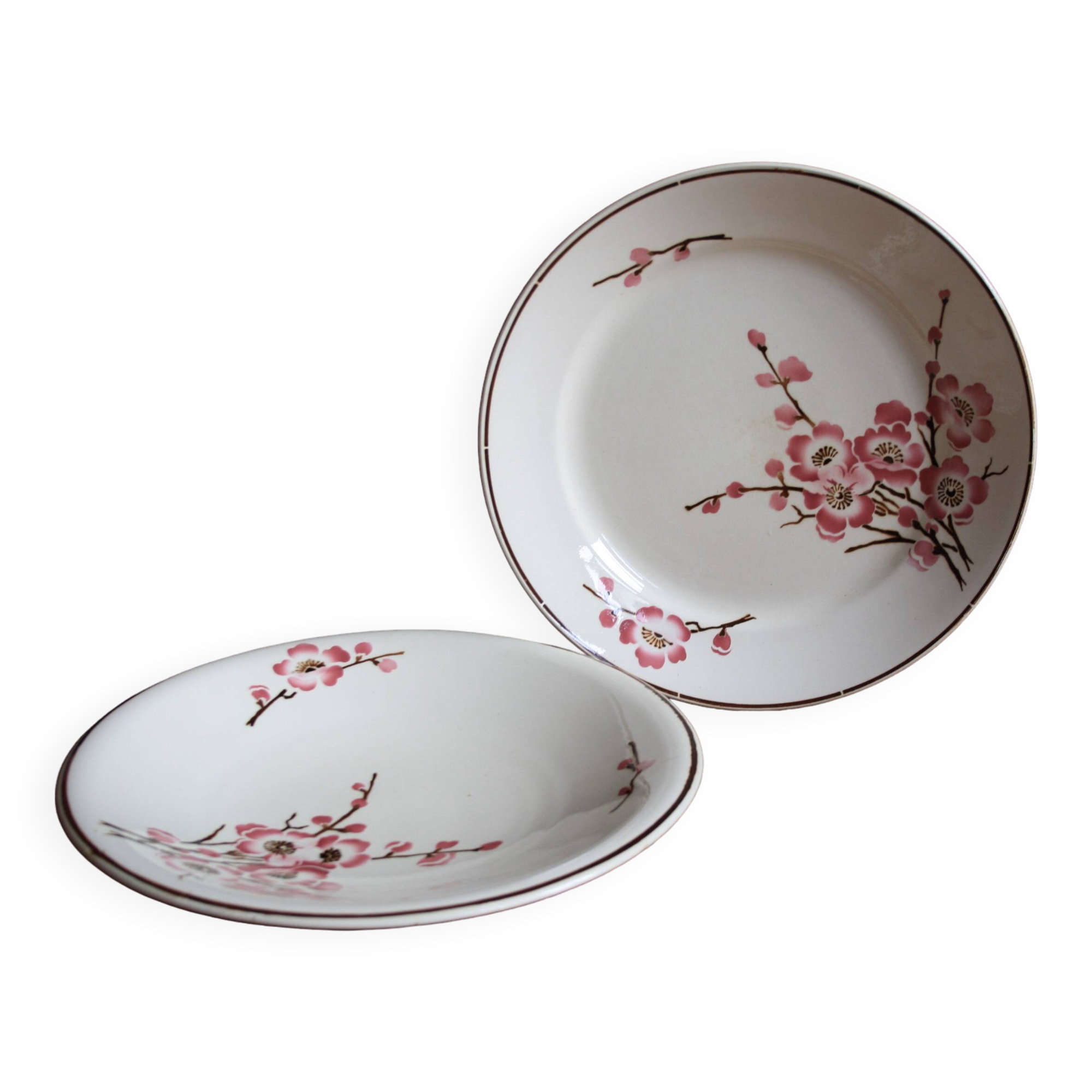 set of 2 dishes/large plates St Amand Terre de Fer "cherry"