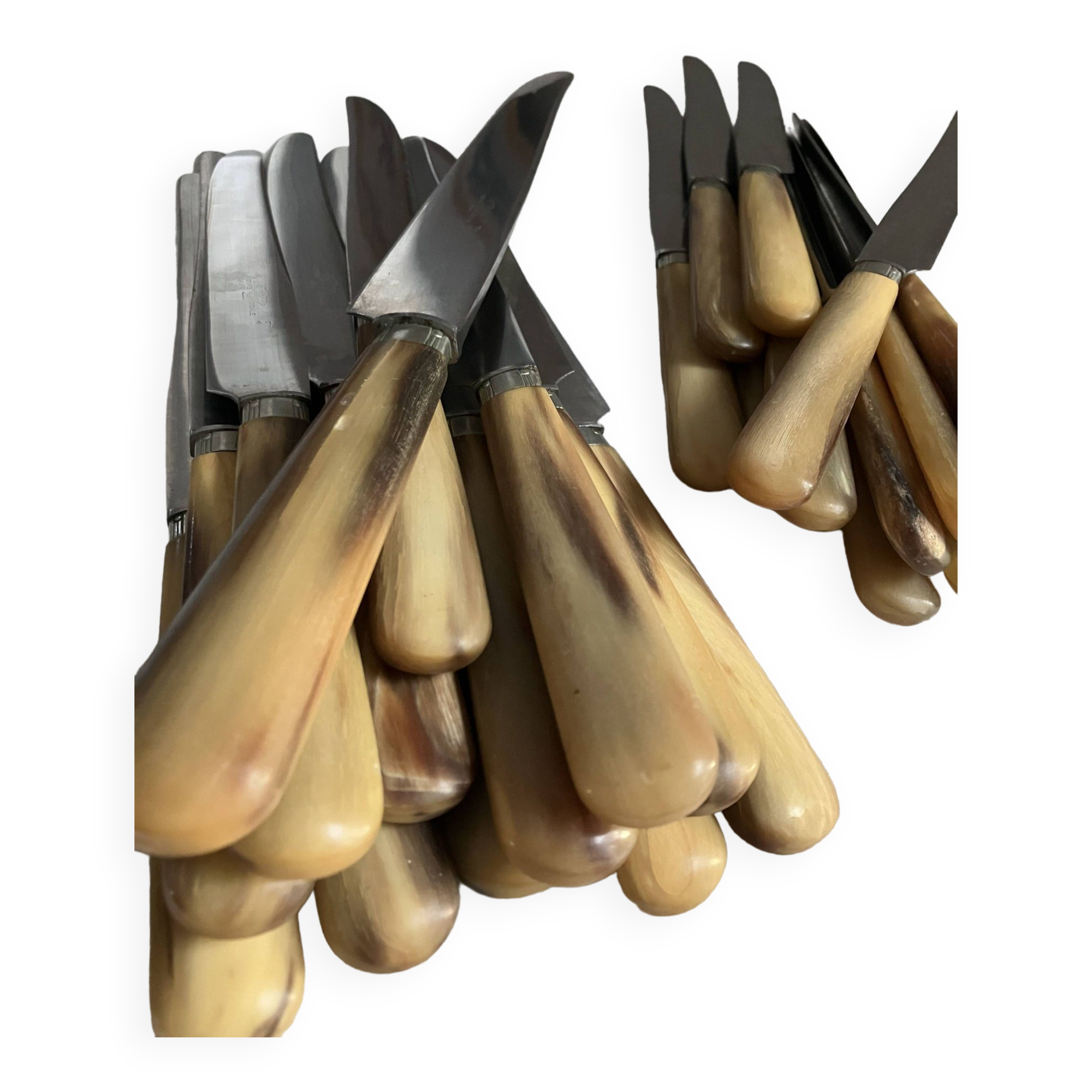 Set of 24 horn table knives