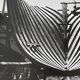 Photographie ancienne noir et blanc argentique début XXe