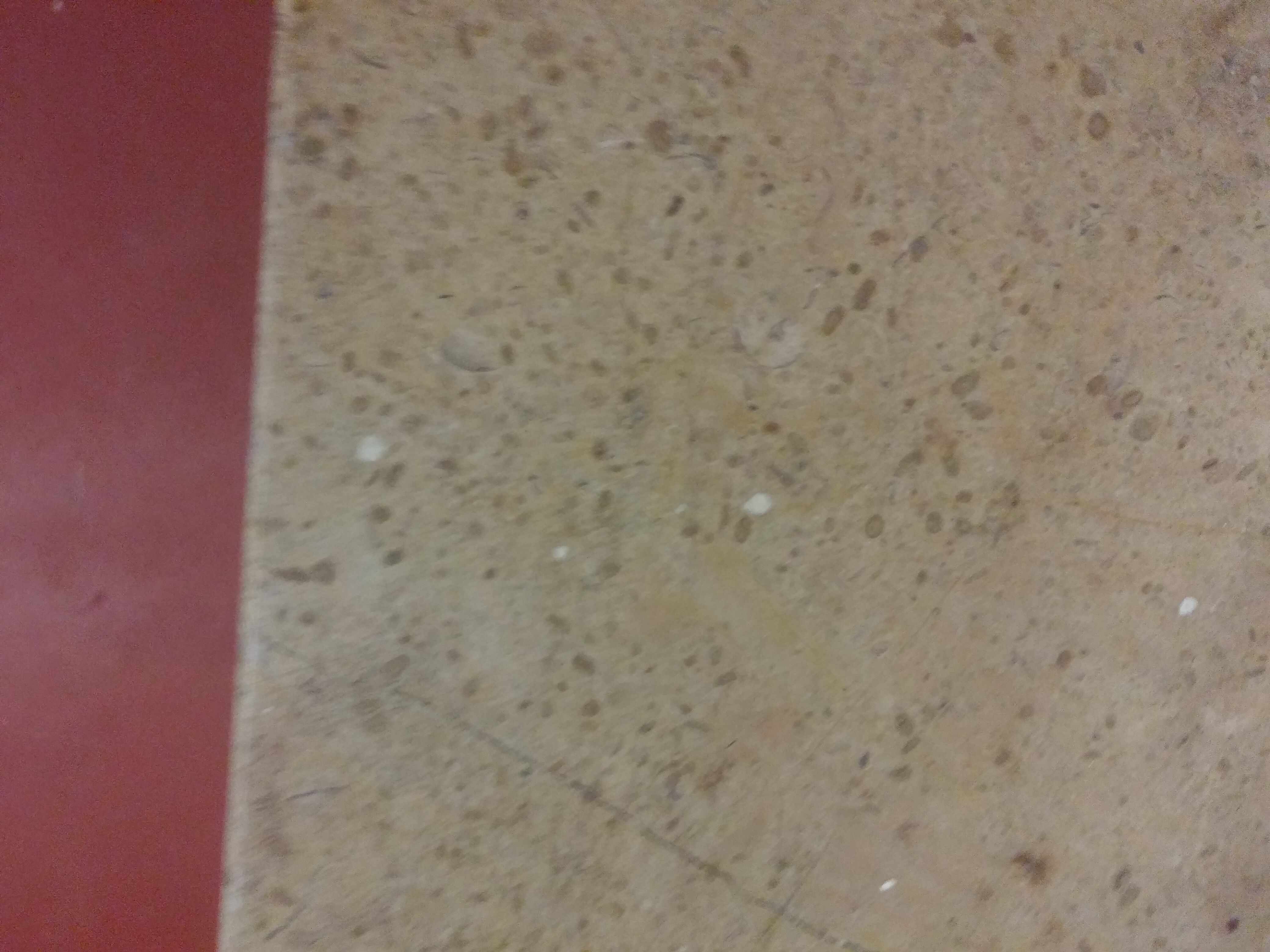 Store furniture counter