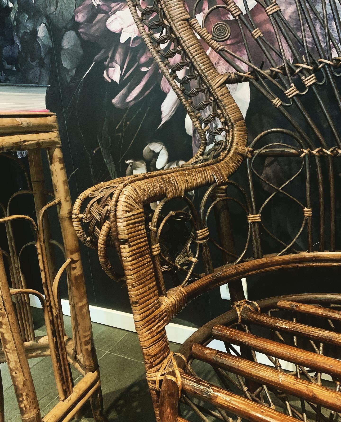 Fauteuil Emmanuelle Peacock