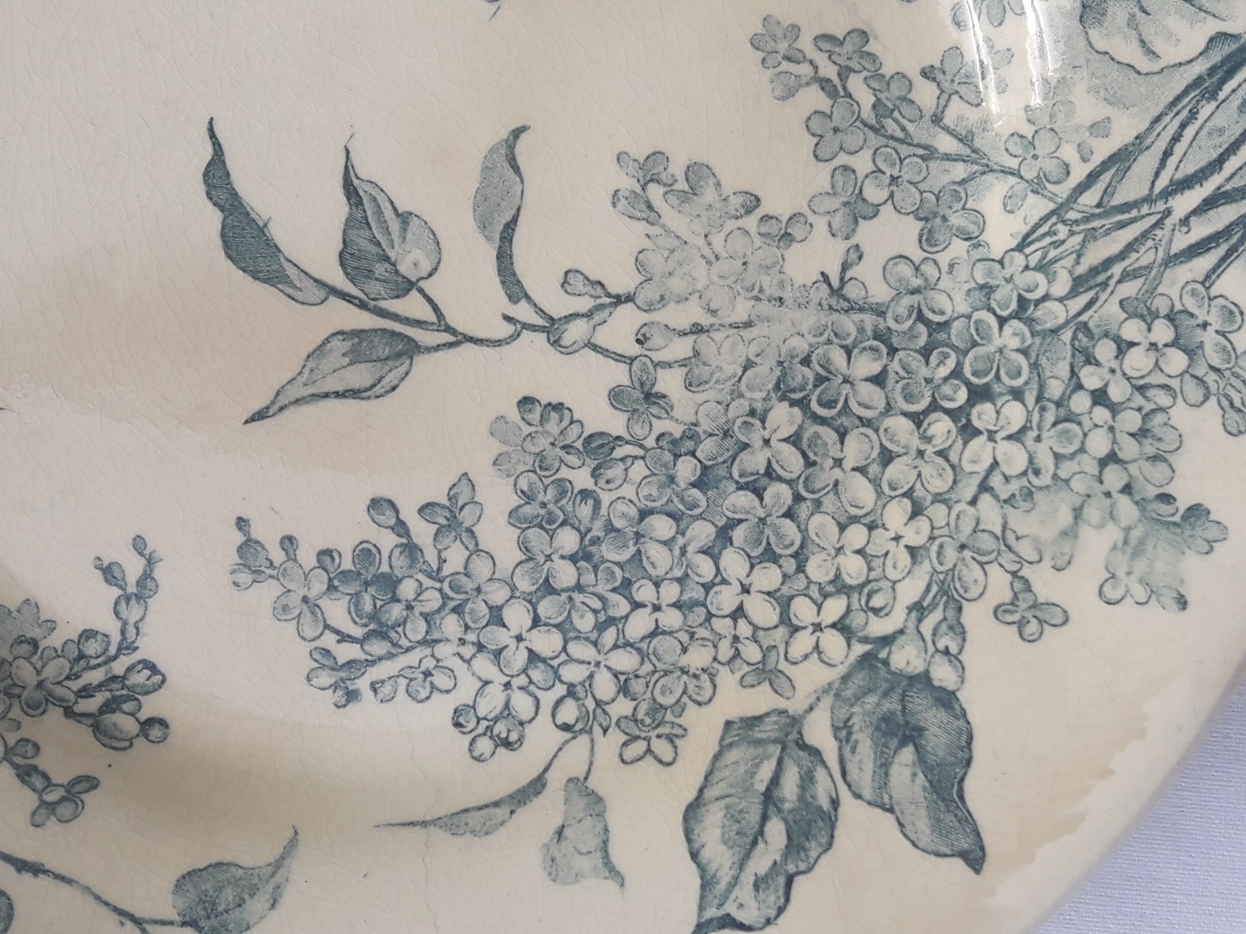 Assiette en porcelaine opaque de Gien modèle Lilas diam 23,5 cm