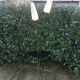 Floor lamp 50s brass