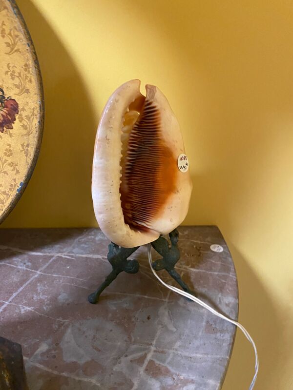 Lampe coquillage Napoléon III