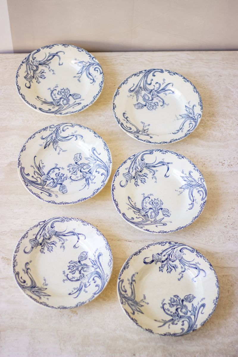 Set of 6 hollow plates earth of iron