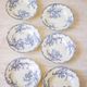 Set of 6 hollow plates earth of iron