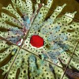 Vintage ceramic coffee table, floral patterns and chrome base.