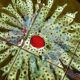 Vintage ceramic coffee table, floral patterns and chrome base.