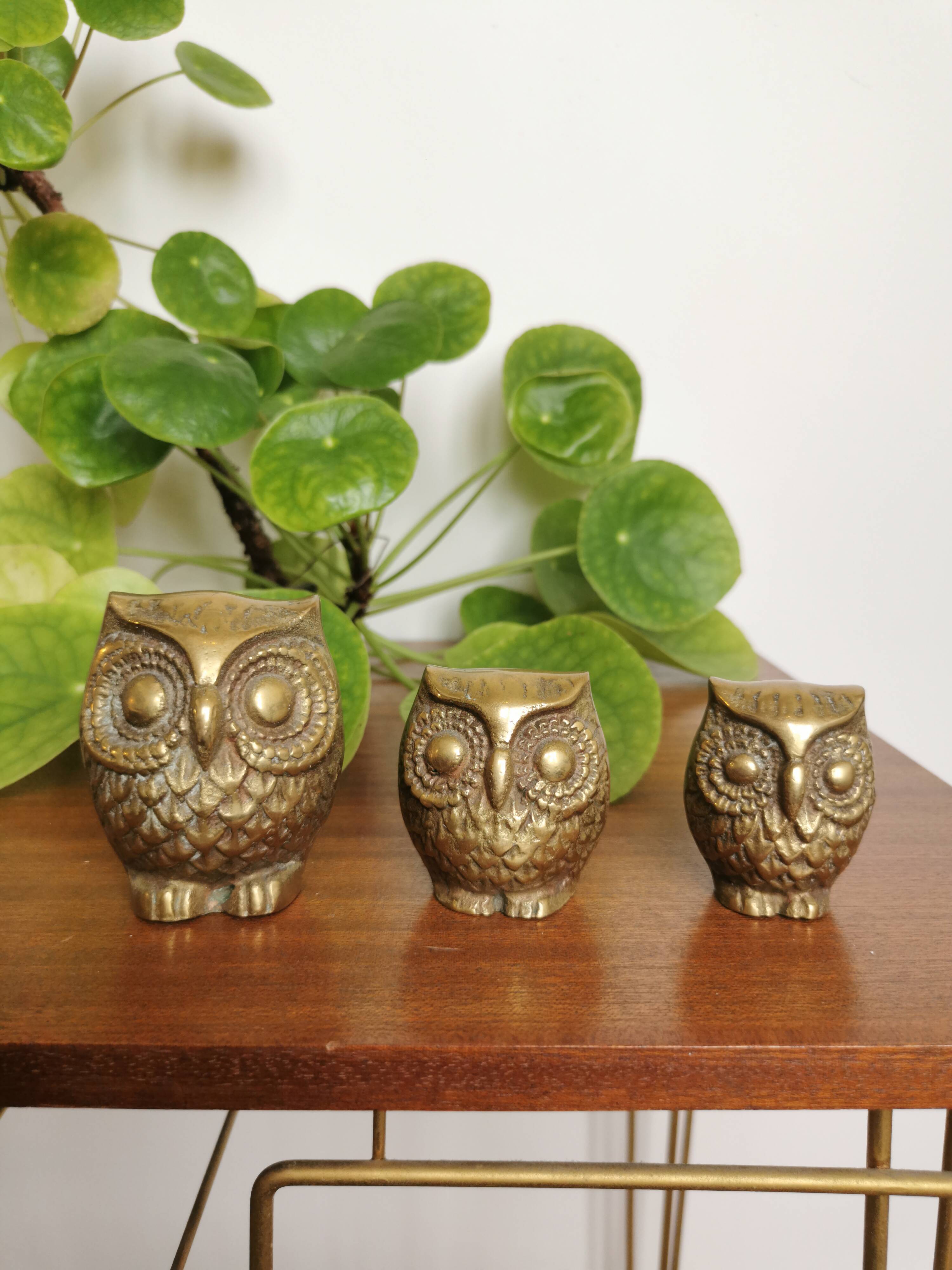 Trio of brass owls