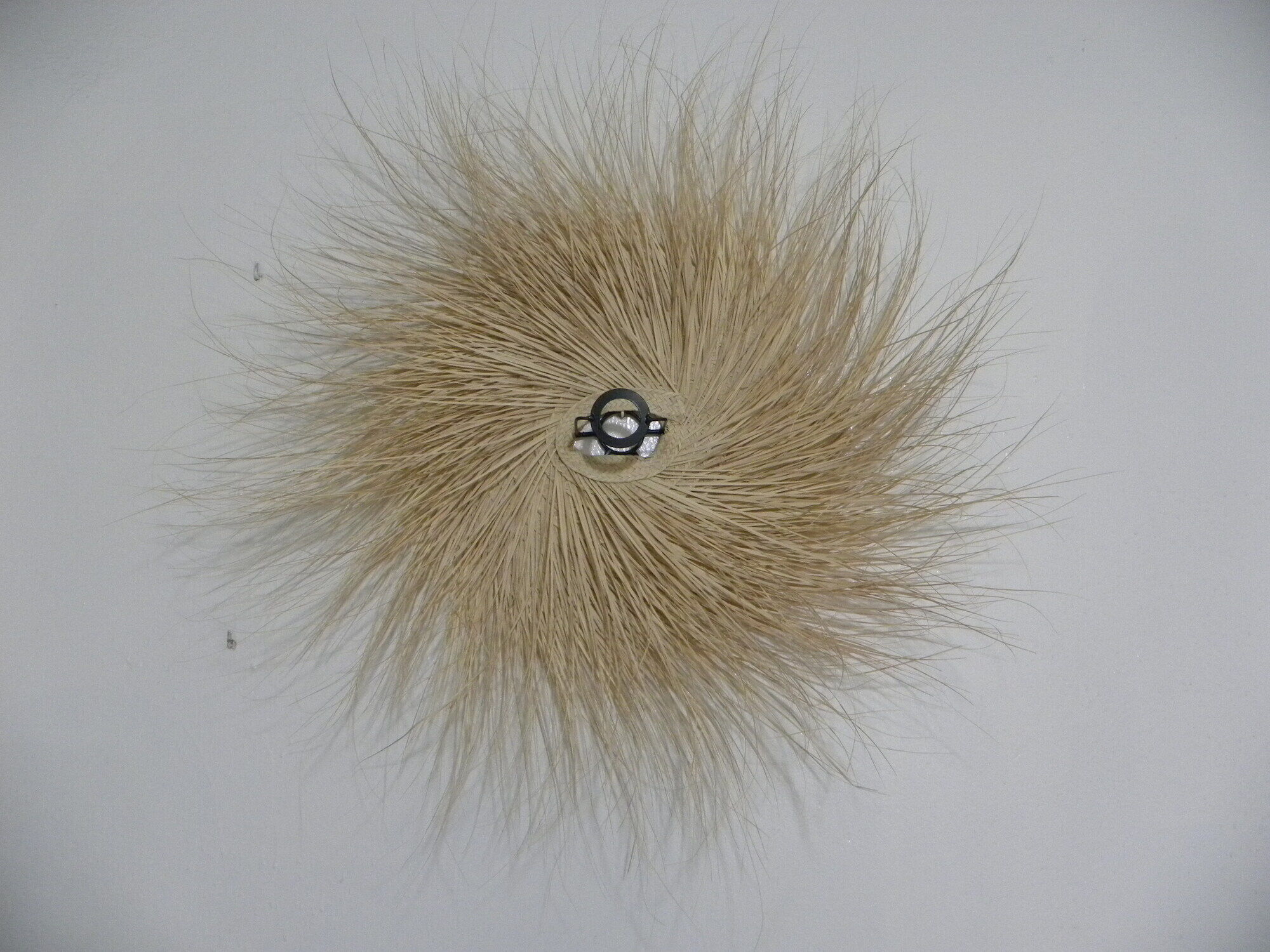 Ventilateur de Plafond Silencieux Genuino Casafan