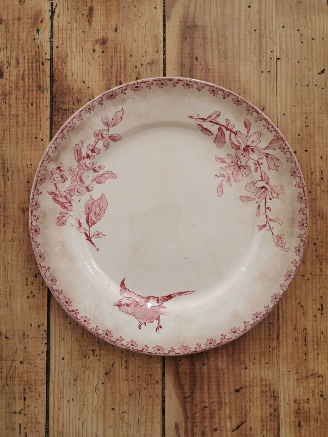 Assiettes anciennes Sarreguemines "Favori"