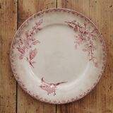 Assiettes anciennes Sarreguemines "Favori"