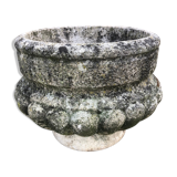 Medici Basin