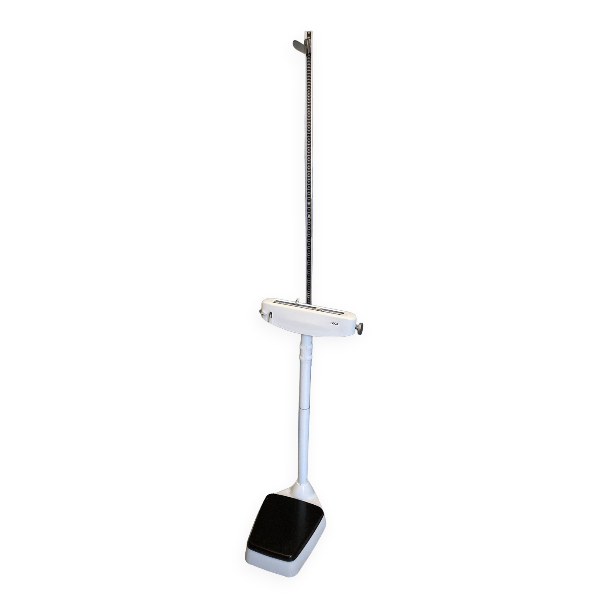 Personal scale and medicine measuring rod