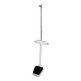 Personal scale and medicine measuring rod