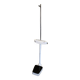 Personal scale and medicine measuring rod