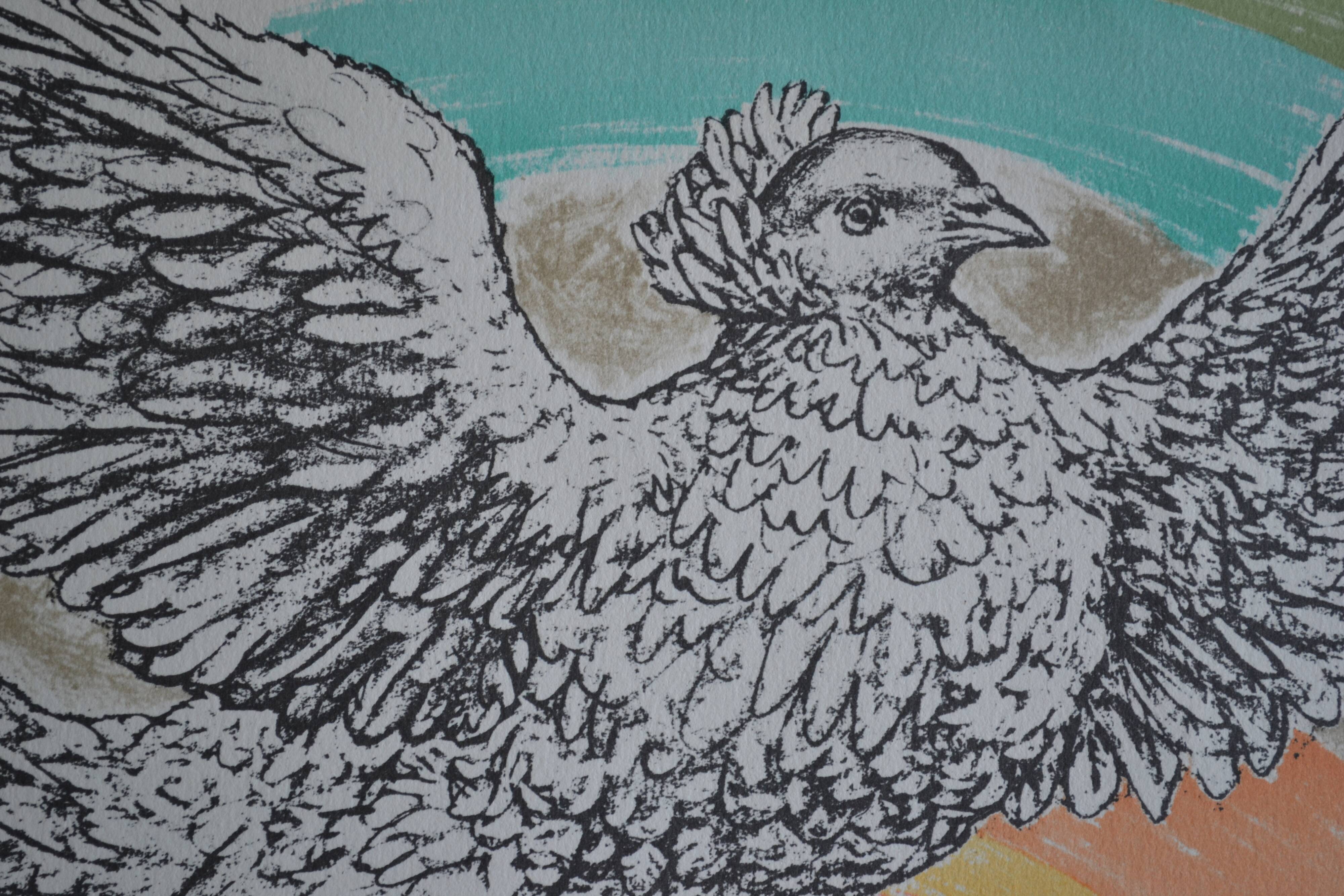 Picasso original lithograph 1952 Dove with a rainbow 38x28cm