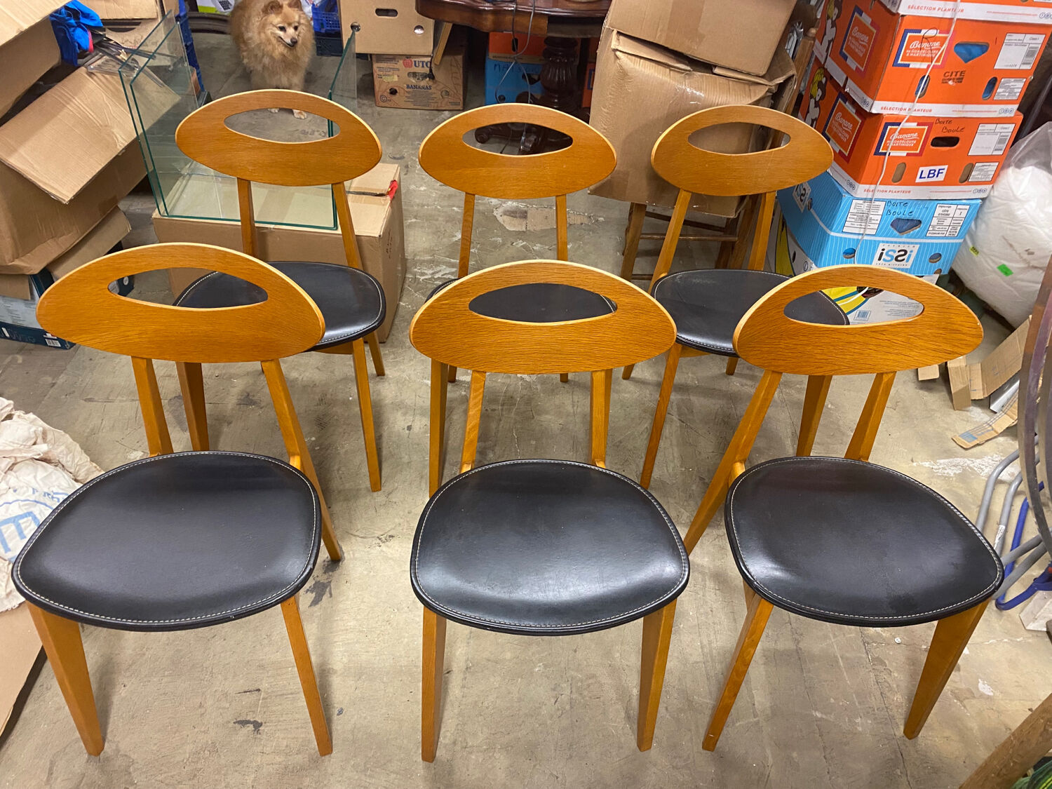 Set of 6 Scandinavian Roger Landault chairs produced by sentou