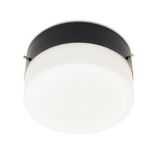 Vintage Opaline Glass Chandelier, 1950s