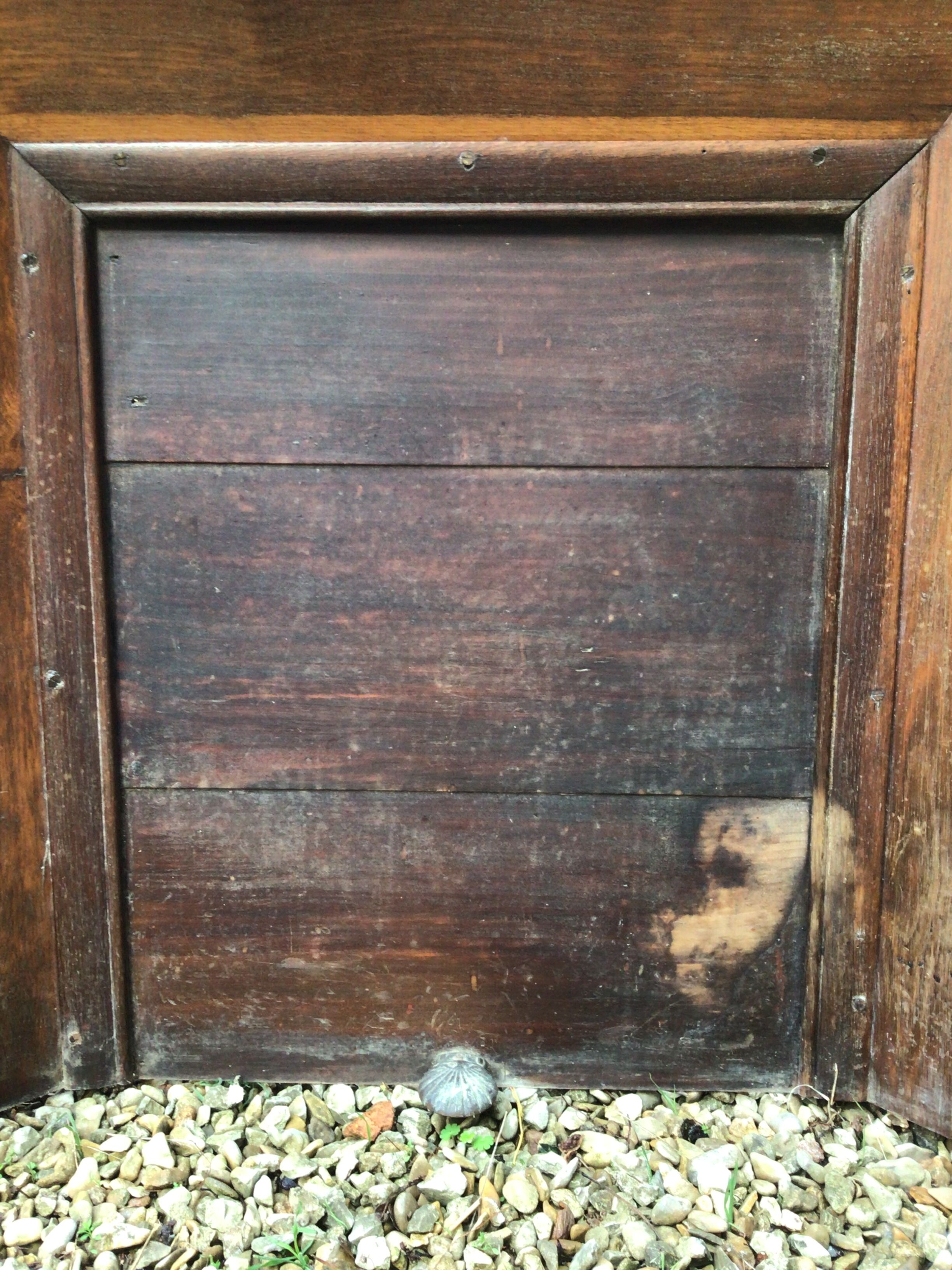 Wooden fireplace mantle