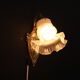 Wall light brass, old tulip glass swan neck