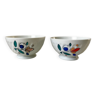 Duo of bowls digoin sarreguemines 60s