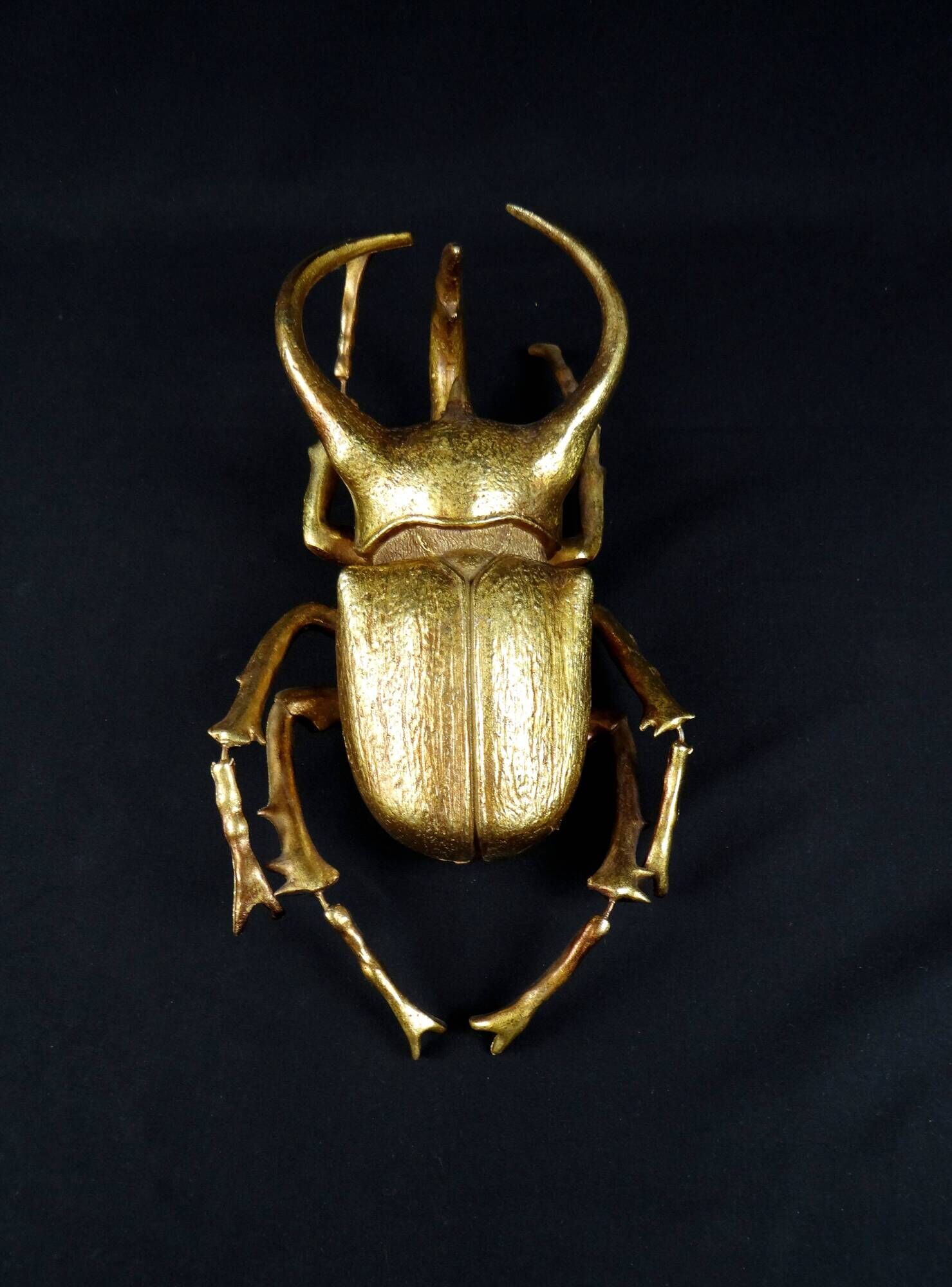 Contemporary style golden scarab wall sculpture in resin and metal