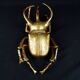 Contemporary style golden scarab wall sculpture in resin and metal
