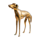 Chien laiton lévrier