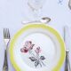 Lot 5 vintage plates pastel yellow digoin