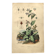 Antique engraving from 1839 - Pulmonary - Hand-colored zoological and botanical plate. Original.