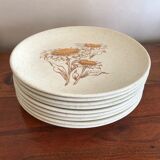9 plates of St Amand decor daisies hand-painted