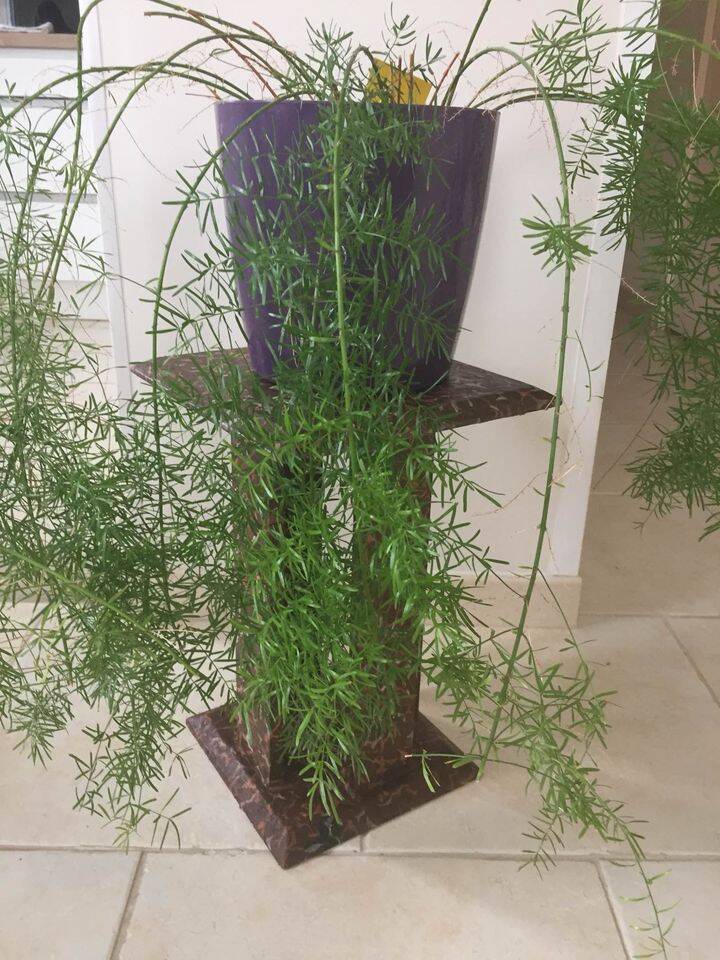 Small console plant rest