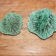 Duo dish dish in Sarreguemines cabbage leaf slip