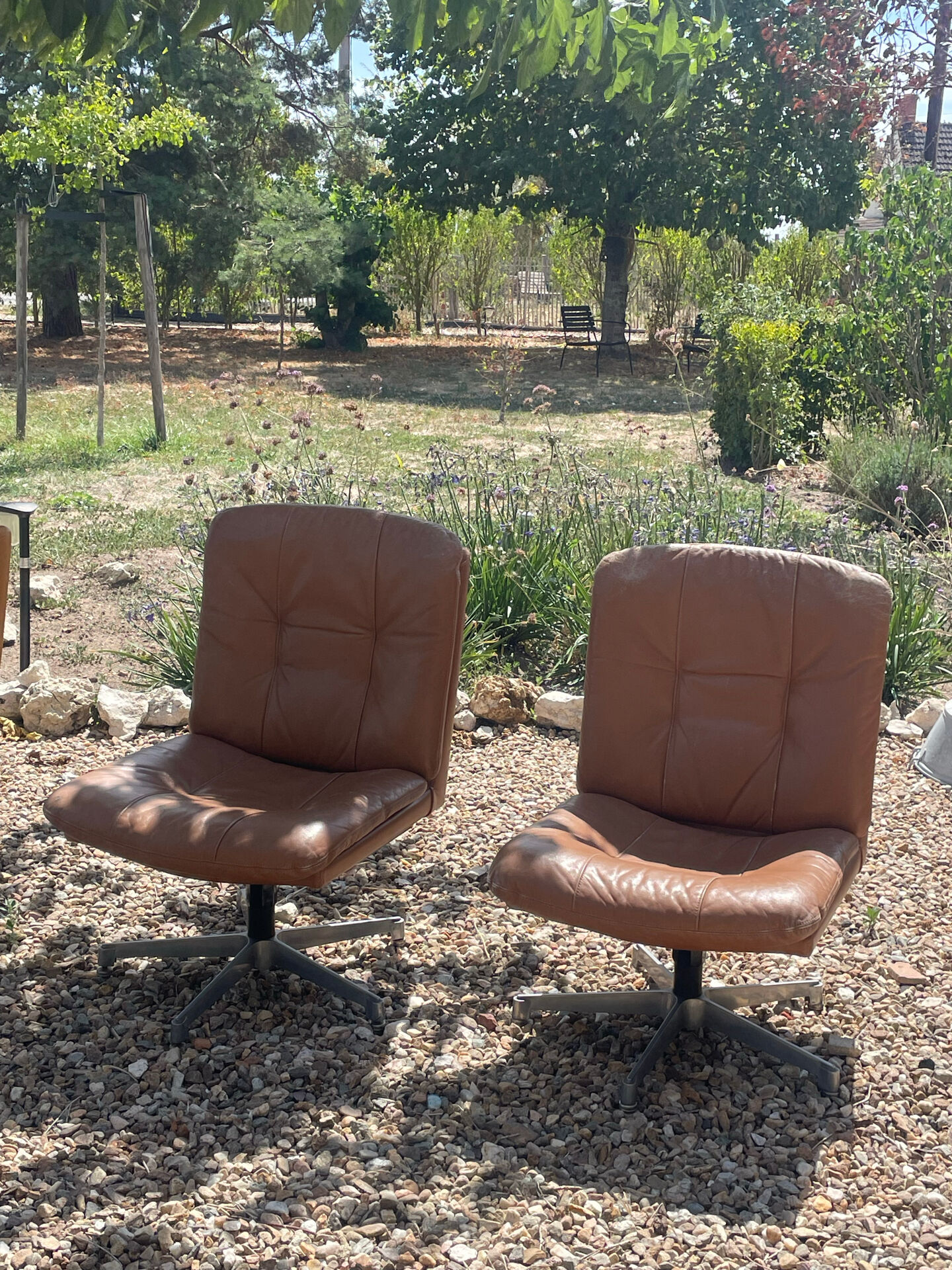 Pair of swivel armchairs in cognac leather – 1970s