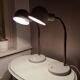 Ensemble de 2 lampes Raak Amsterdam style vintage