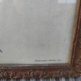 Tableau  J Gould et HC Richter
