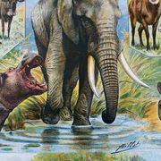 Ancient illustration Millot "Mammals"