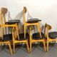 12 stella 1950 chairs in signed curved wood