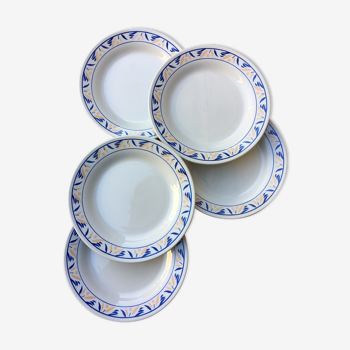 5 assiettes plates "Brazil" d'Oxford