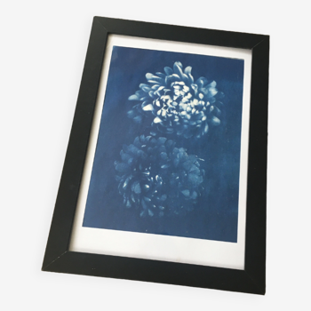 Tirage cyanotype original a4 fleurs sans cadre