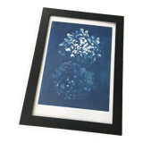 Cyanotype original a4 frameless flowers print